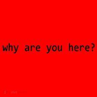 Why Are You Here Funny Typography Santa Hat thumb 1