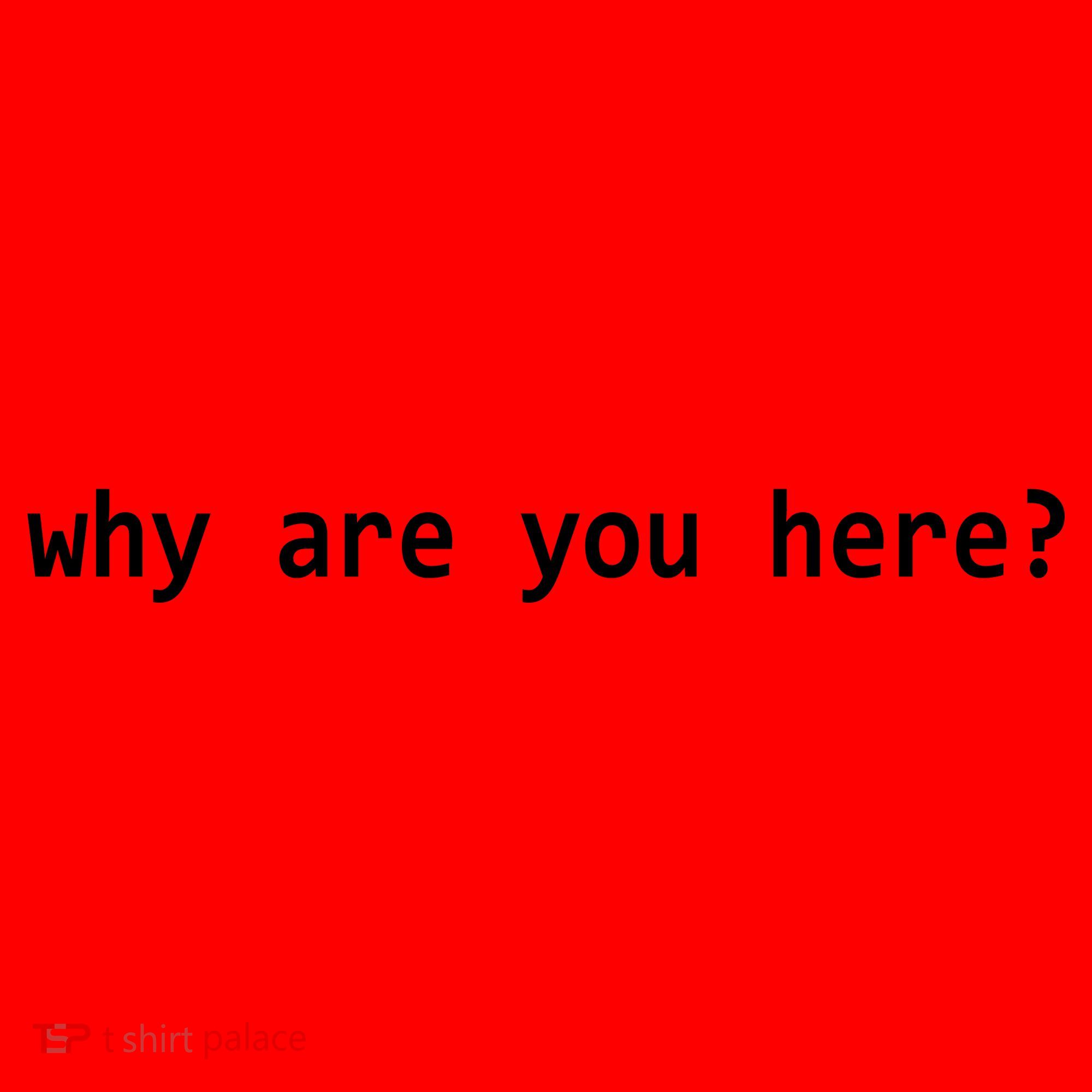 Why Are You Here Funny Typography Santa Hat
