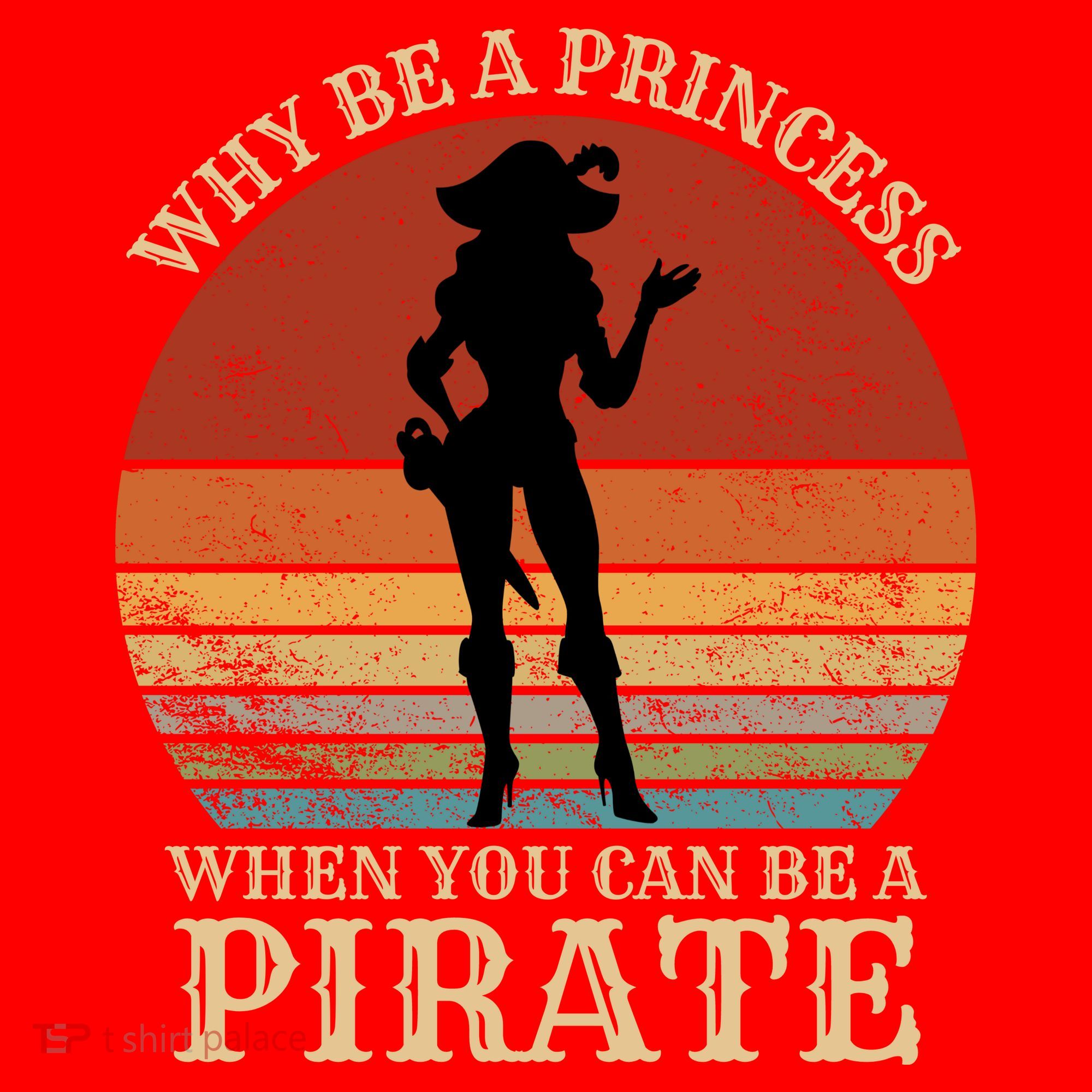 Why Be A Princess When You Can Be A Pirate Funny Santa Hat