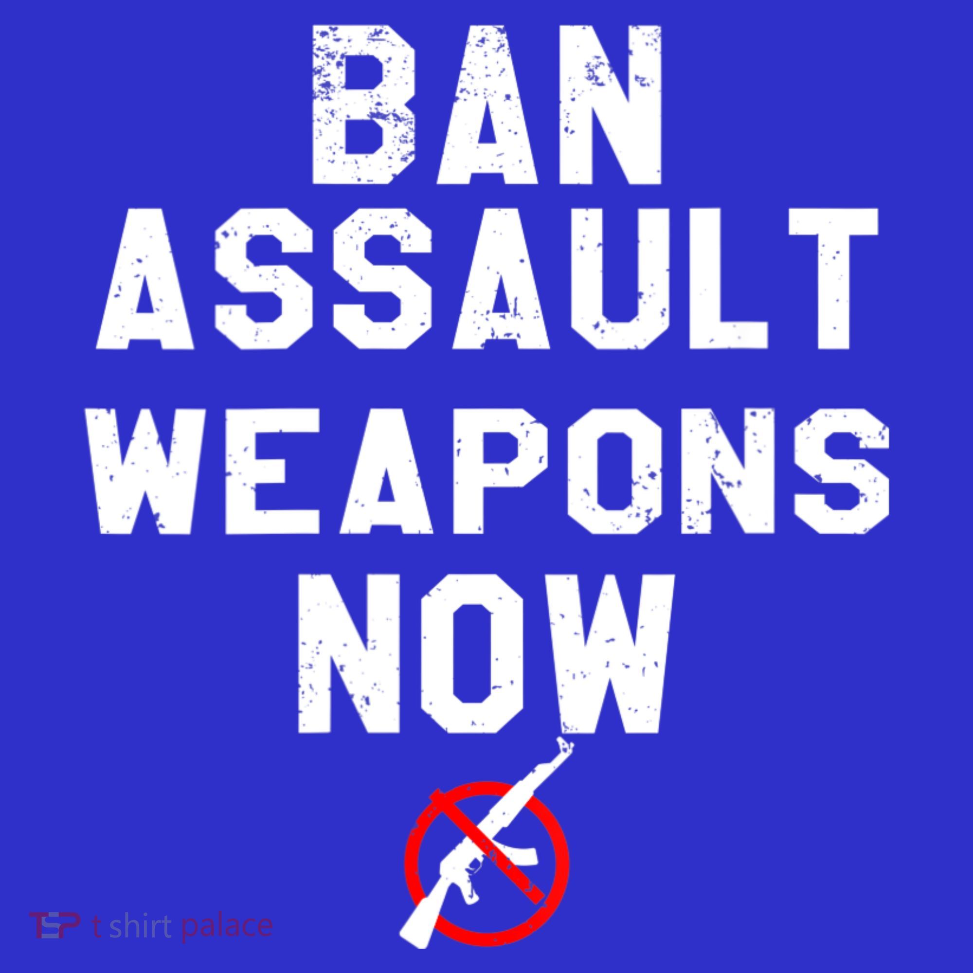 Womens Ban Assault Weapons Now Anti Gun March Kids Sweatshirt