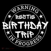 Warning Bestie Birthday Trip In Progress Matching Bd Toddler Hoodie thumb 2