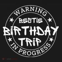 Warning Bestie Birthday Trip In Progress Matching Bd Toddler T-Shirt thumb 4