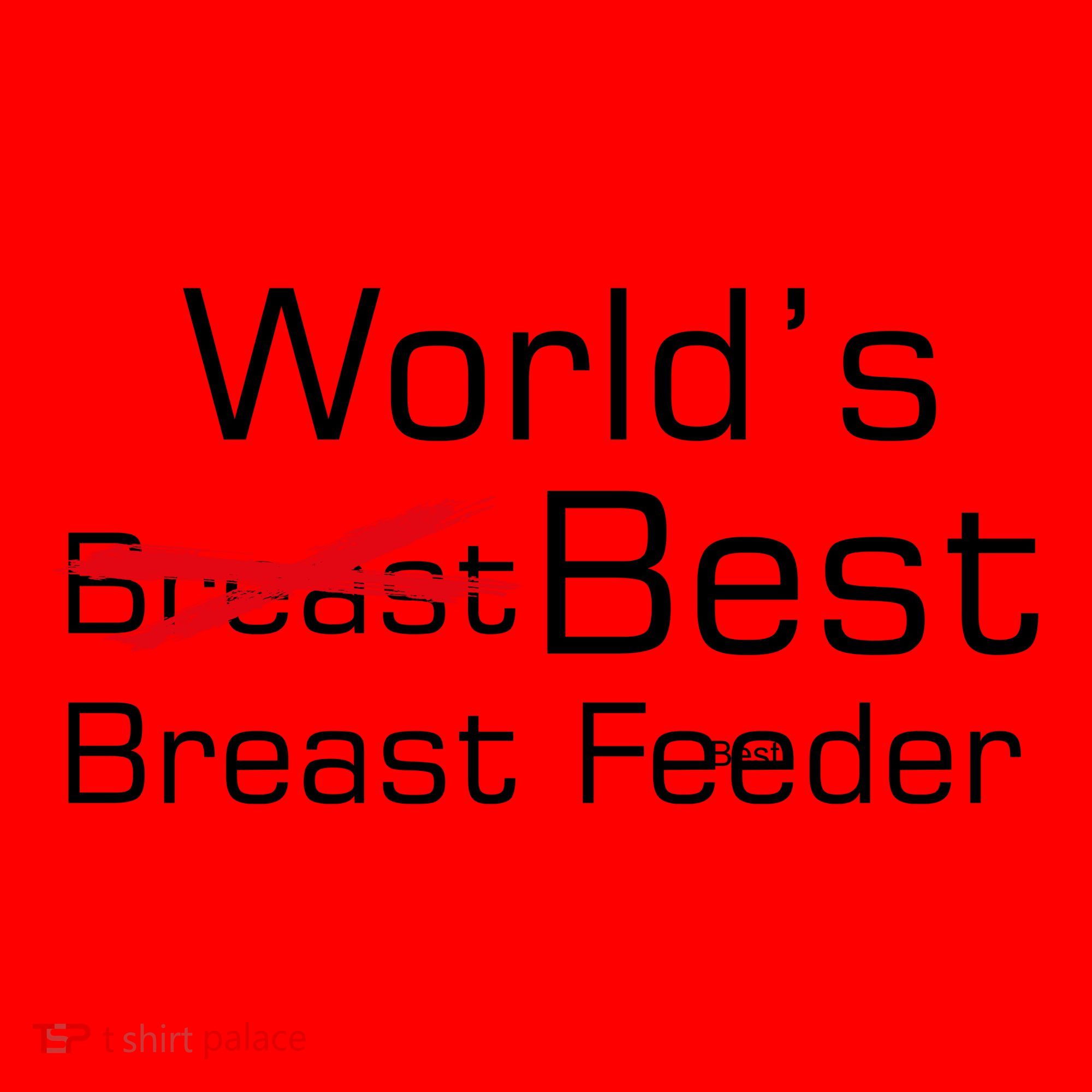 Worlds Best Breast Feeder Santa Hat