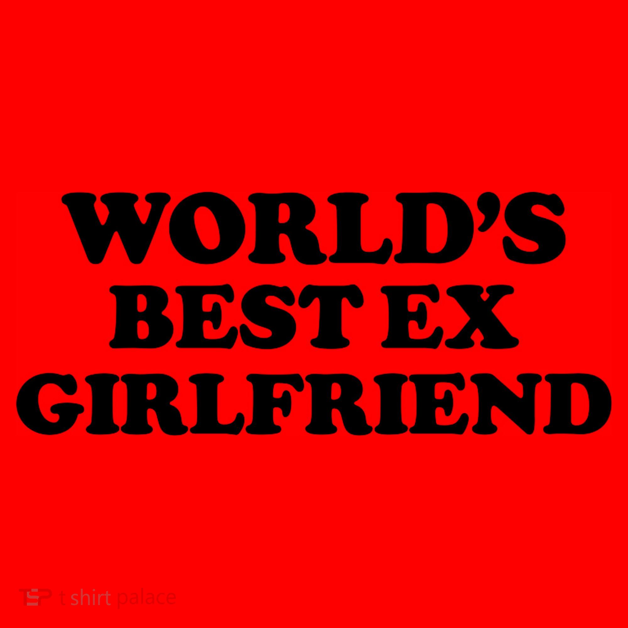World’s Best Ex Girlfriend Funny Sarcasm Santa Hat