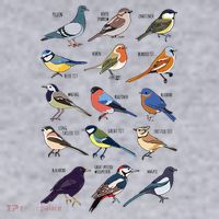 Wildlife Birds Gift For Bird Watching Birder Ladies Heavyweight Boxy Pullover Hoodie thumb 2