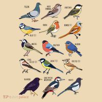 Wildlife Birds Gift For Bird Watching Birder Tote Bag thumb 4
