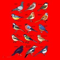 Wildlife Birds Gift For Bird Watching Birder Santa Hat thumb 1