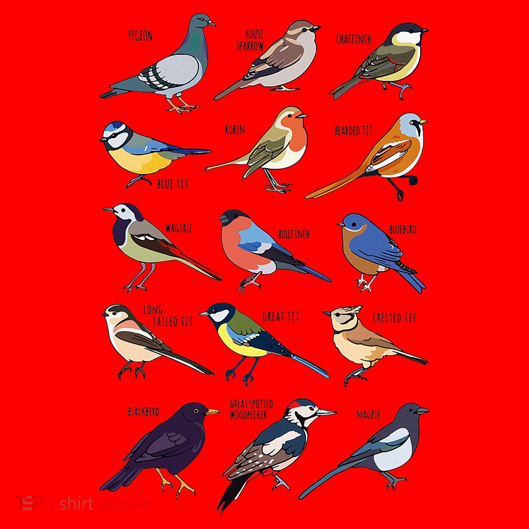 Wildlife Birds Gift For Bird Watching Birder Santa Hat