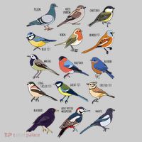 Wildlife Birds Gift For Bird Watching Birder Kids Tie-Dye T-Shirt thumb 3
