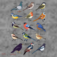 Wildlife Birds Gift For Bird Watching Birder Toddler Hoodie thumb 2