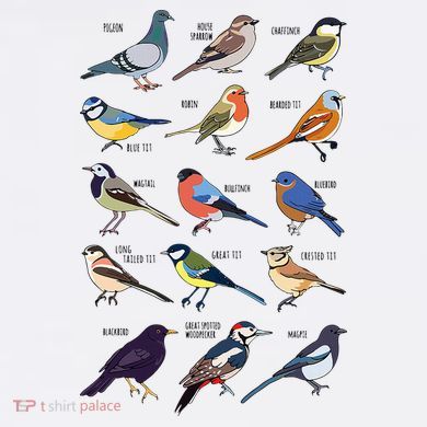 Wildlife Birds Gift For Bird Watching Birder 11oz C Handle Ceramic Mug