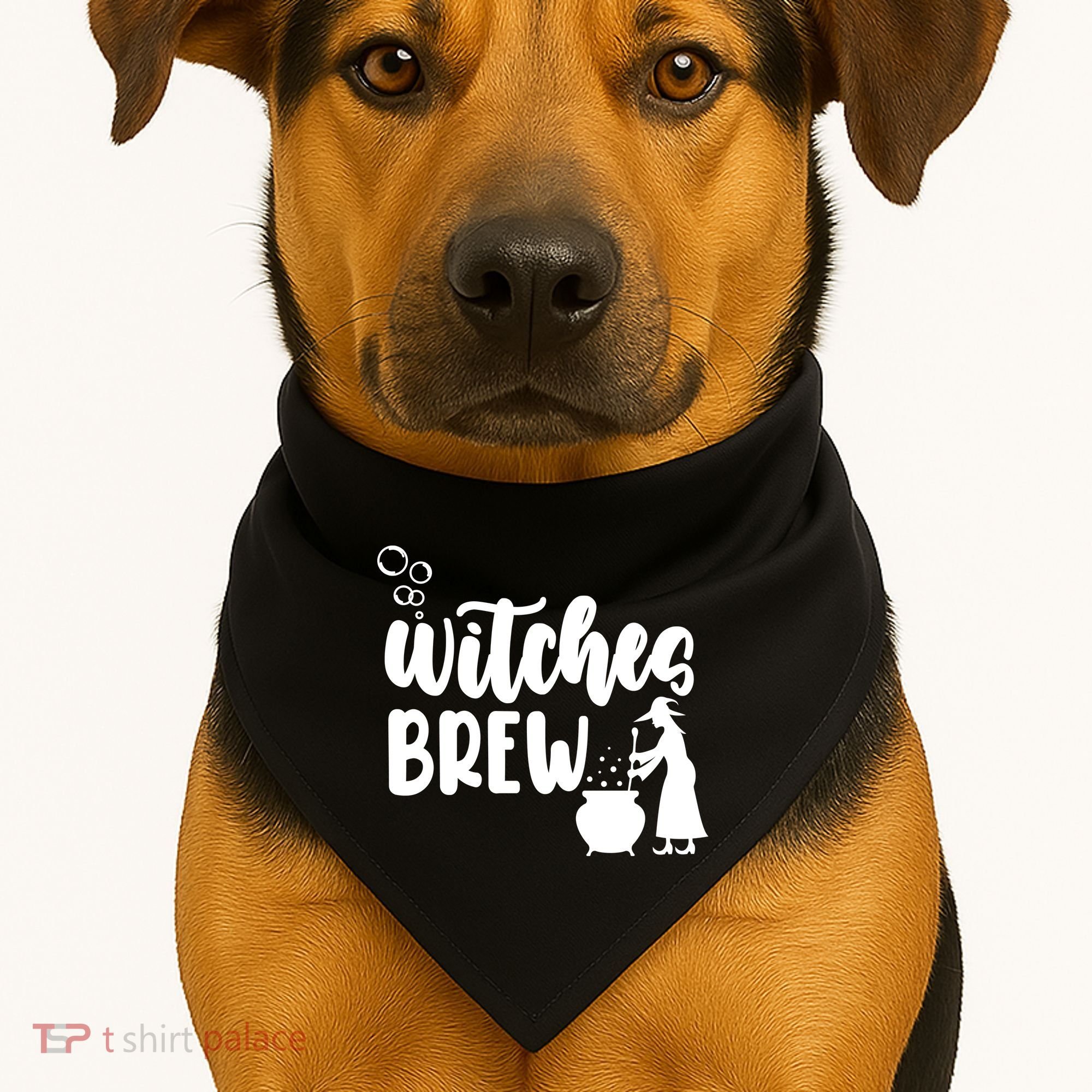Witches Brew Halloween Witch USA-Made Doggie Bandana