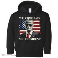 Welcome Back Mr President Trump Power Patriotic Usa Flag Toddler Hoodie thumb 0