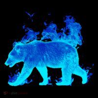 Wild Bear On Fire Ornament thumb 1