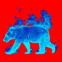 Wild Bear On Fire Santa Hat thumb 1