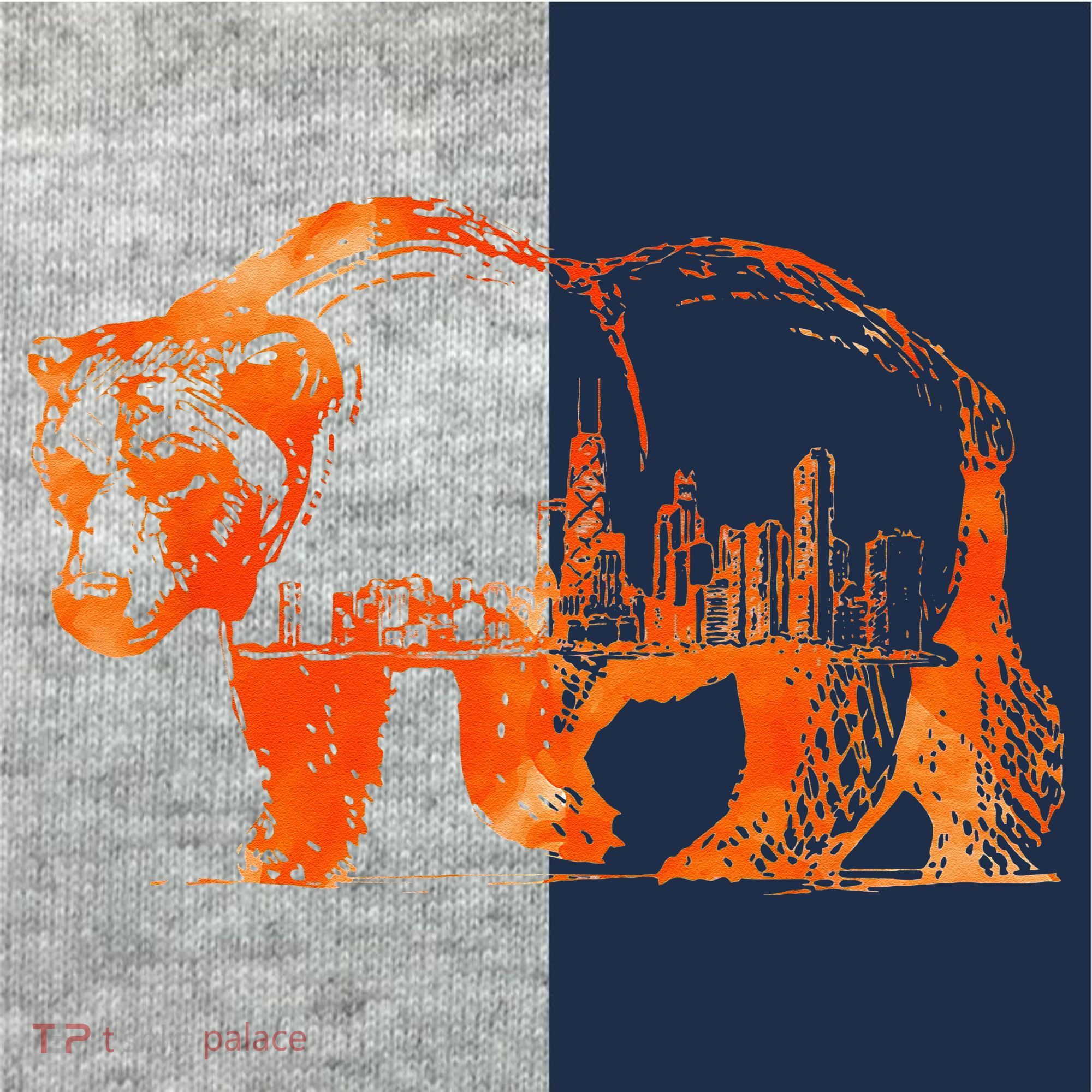 Walking Bear Silhouette Downtown Chicago City Skyline Gift Kids Colorblock Raglan Jersey