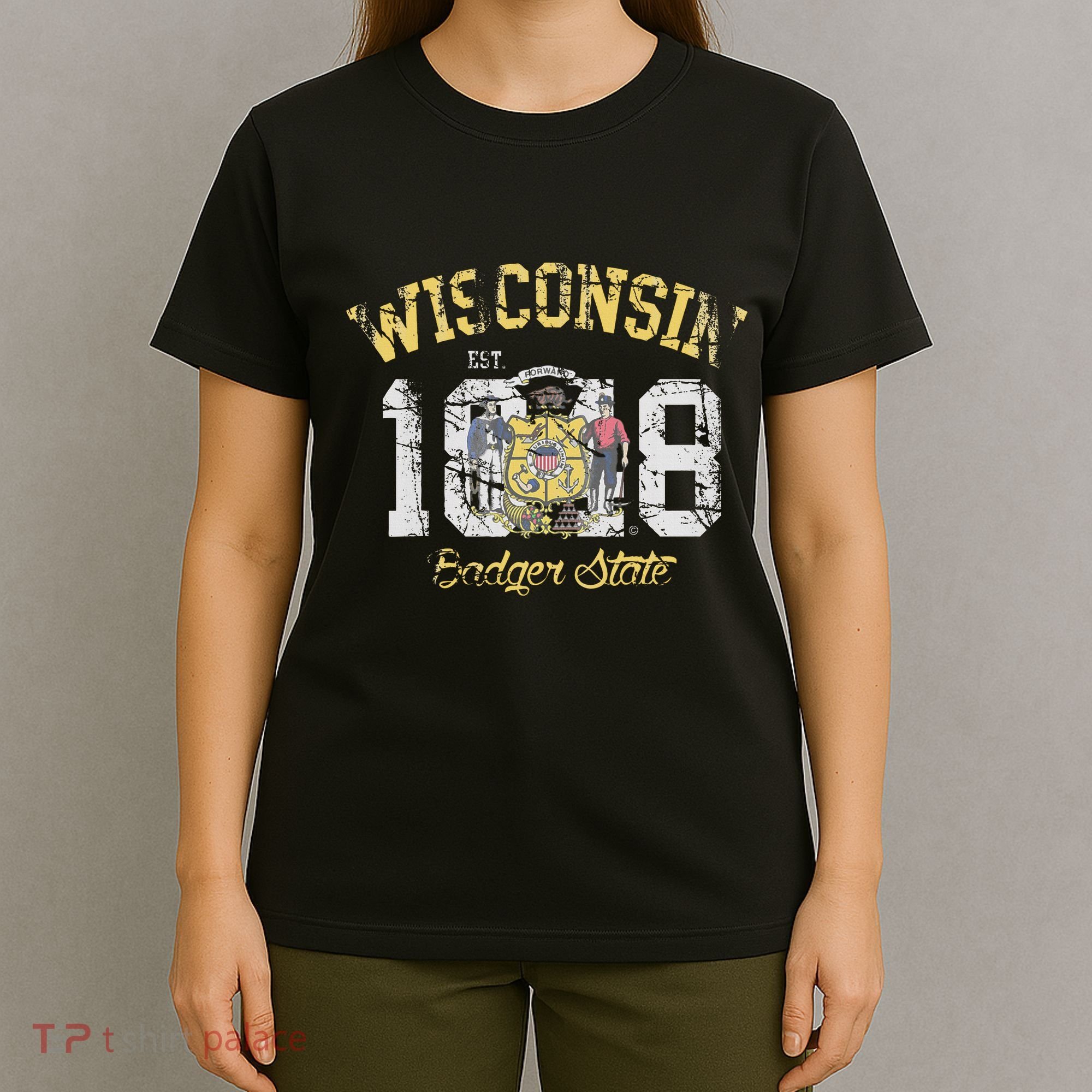 Wisconsin Badger State Flag Vintage Fade T-Shirt