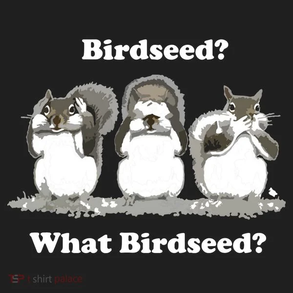 What Birdseed? Squirrel Tumbler