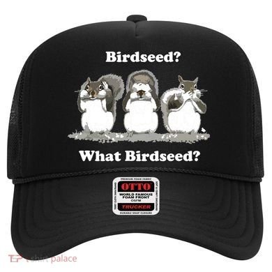 What Birdseed? Squirrel Hat
