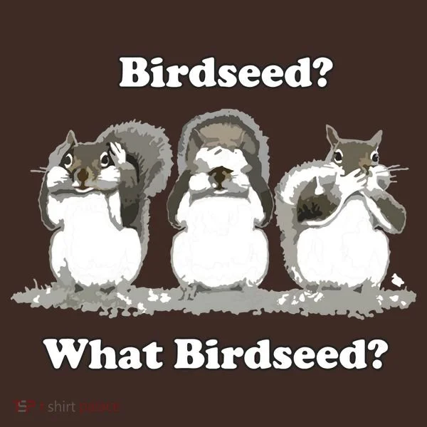 What Birdseed? Squirrel T-Shirt