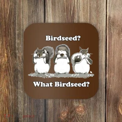 What Birdseed? Squirrel Coaster
