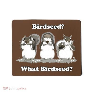 What Birdseed? Squirrel Mousepad