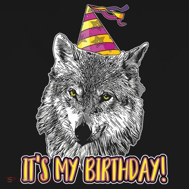 Wolf Birthday Themed Party Wolves Theme Wolf Lover Women's Hoodie