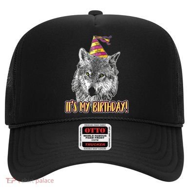 Wolf Birthday Themed Party Wolves Theme Wolf Lover Hat