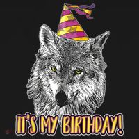 Wolf Birthday Themed Party Wolves Theme Wolf Lover Visor thumb 3