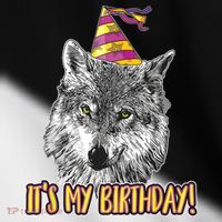 Wolf Birthday Themed Party Wolves Theme Wolf Lover Toddler Fine Jersey T-Shirt thumb 2