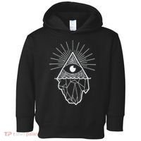 Wendigoon By The Fda Toddler Hoodie thumb 0