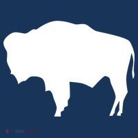 Wyoming Bison Bucket Hat thumb 4