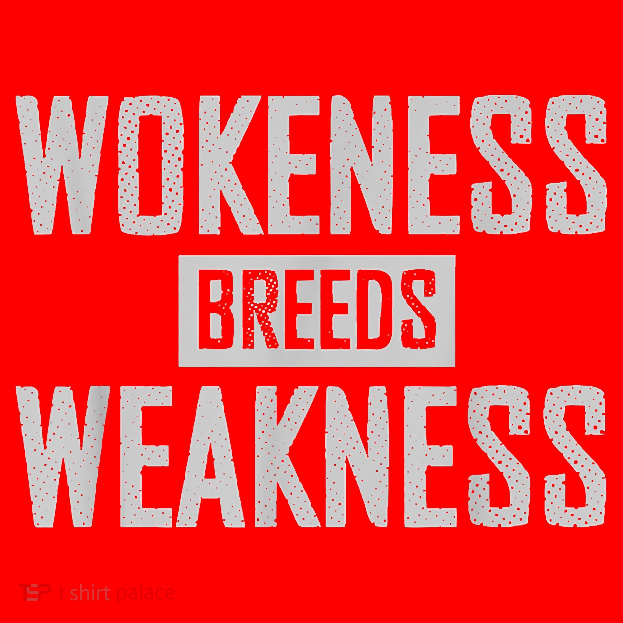 Wokeness Breeds Weakness Santa Hat