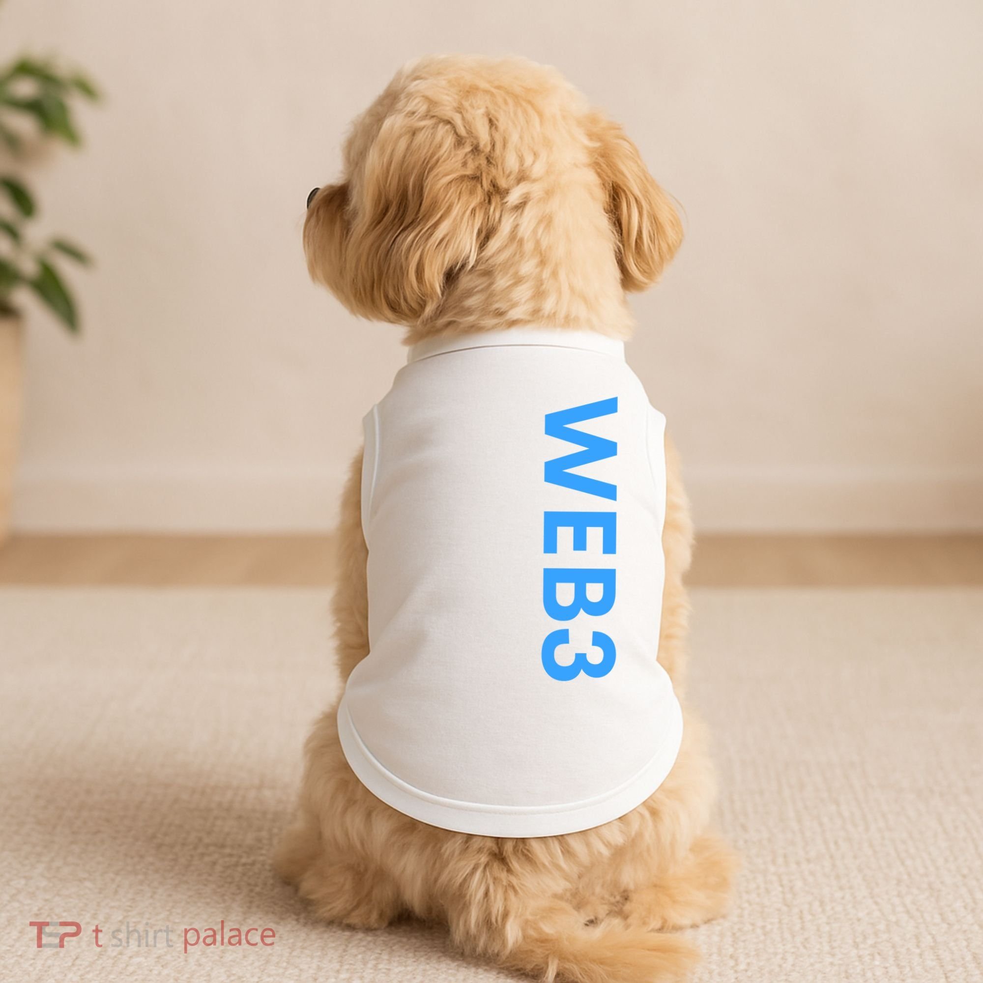 WEB3 Crypto Blockchain NFT Internet3.0 DeFi Metaverse Web3.0 Doggie Tank