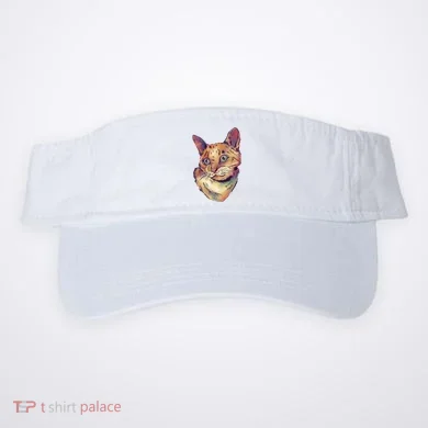 Visor