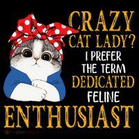 Womens Crazy Cat Lady I Prefer The Term Dedicated Feline Enthusiast Coffee Mug thumb 5