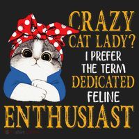 Womens Crazy Cat Lady I Prefer The Term Dedicated Feline Enthusiast Beanie thumb 2