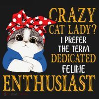 Womens Crazy Cat Lady I Prefer The Term Dedicated Feline Enthusiast Coaster thumb 2