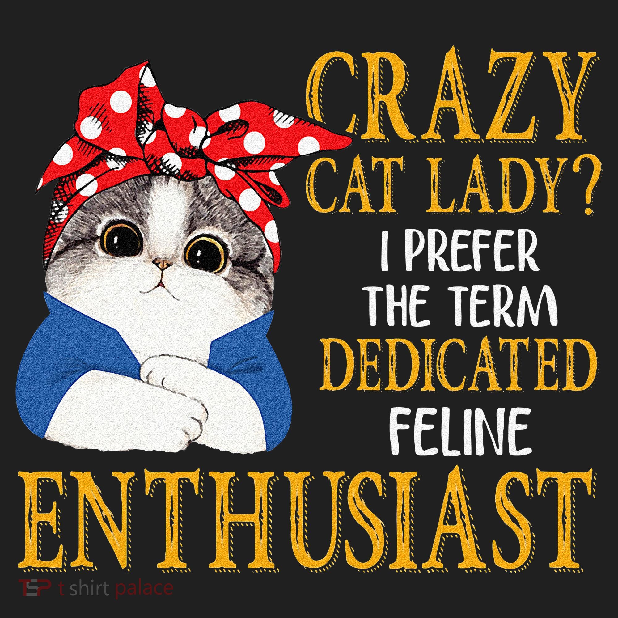 Womens Crazy Cat Lady I Prefer The Term Dedicated Feline Enthusiast Hat