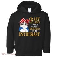 Womens Crazy Cat Lady I Prefer The Term Dedicated Feline Enthusiast Toddler Hoodie thumb 0