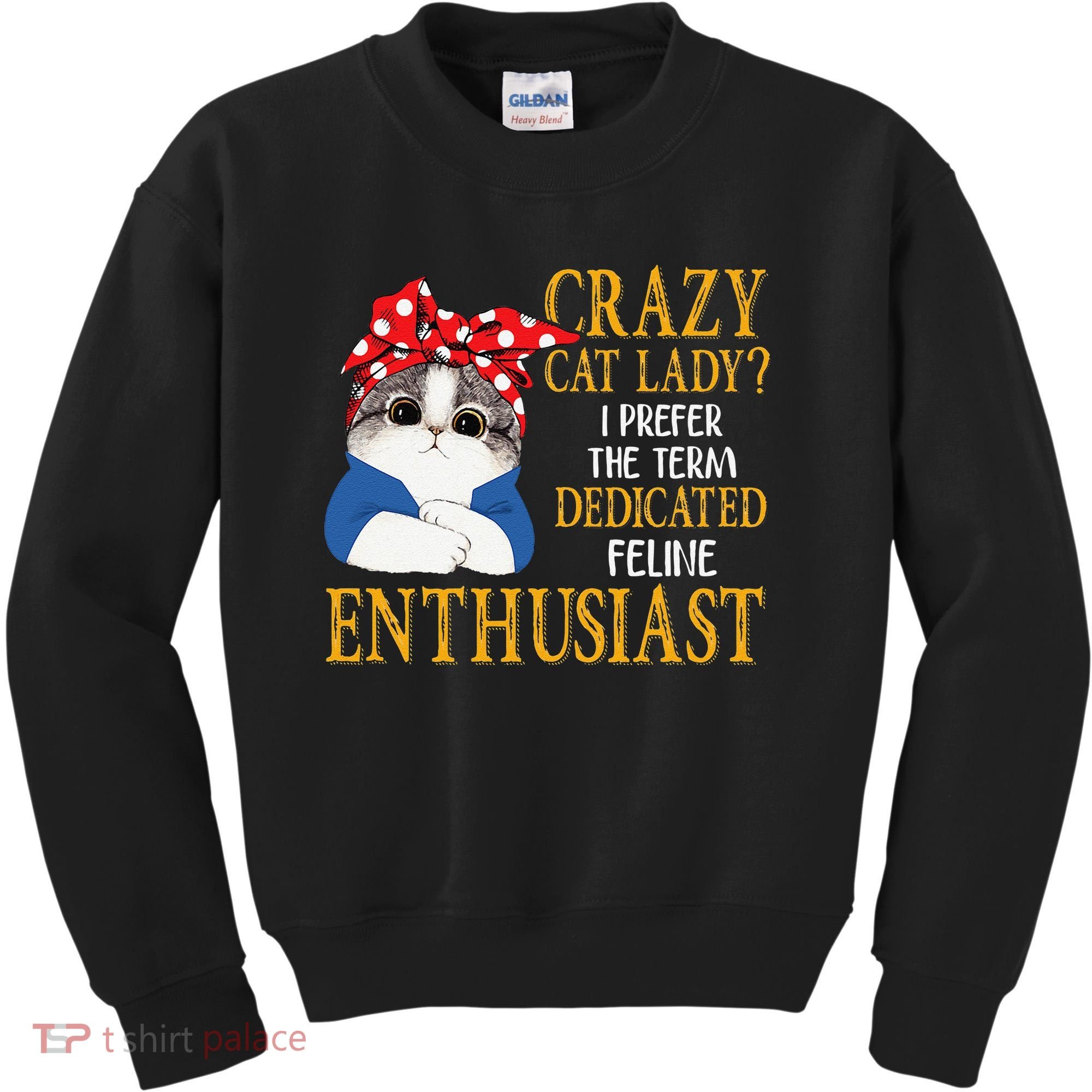 Womens Crazy Cat Lady I Prefer The Term Dedicated Feline Enthusiast Kids Sweatshirt