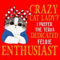 Womens Crazy Cat Lady I Prefer The Term Dedicated Feline Enthusiast Santa Hat thumb 1