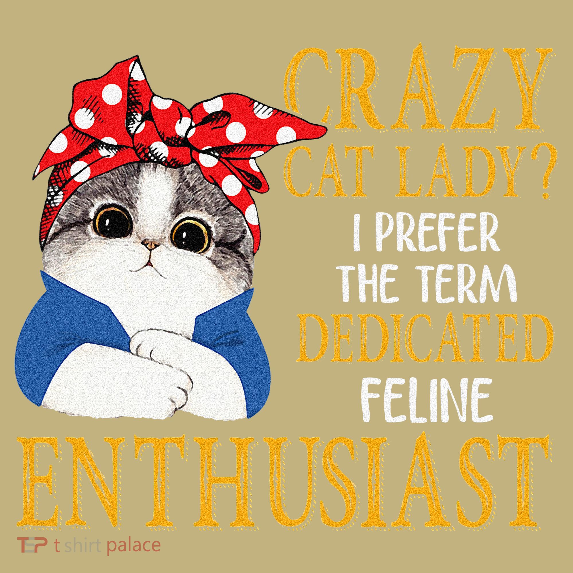 Womens Crazy Cat Lady I Prefer The Term Dedicated Feline Enthusiast Sweatshirt