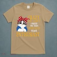 Womens Crazy Cat Lady I Prefer The Term Dedicated Feline Enthusiast T-Shirt thumb 5
