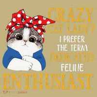 Womens Crazy Cat Lady I Prefer The Term Dedicated Feline Enthusiast Polo thumb 2