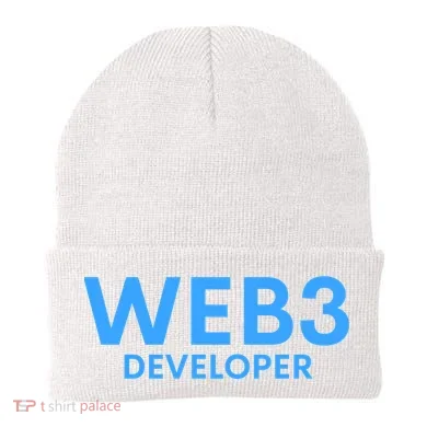 WEB3 Crypto Developer NFT Internet3.0 DeFi Metaverse Web3.0 Beanie