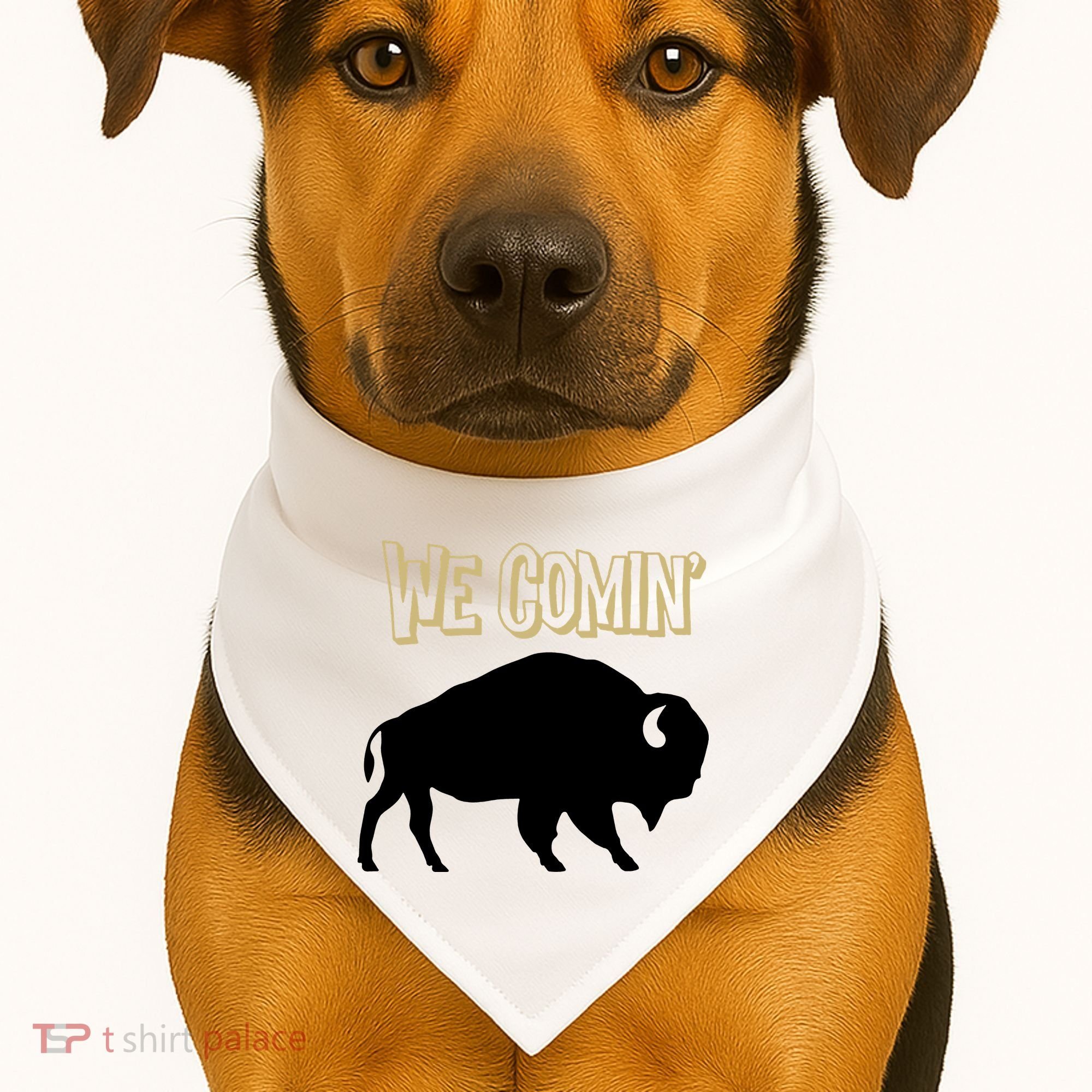 We Comin Deion Sanders Buffaloes Coach Prime USA-Made Doggie Bandana
