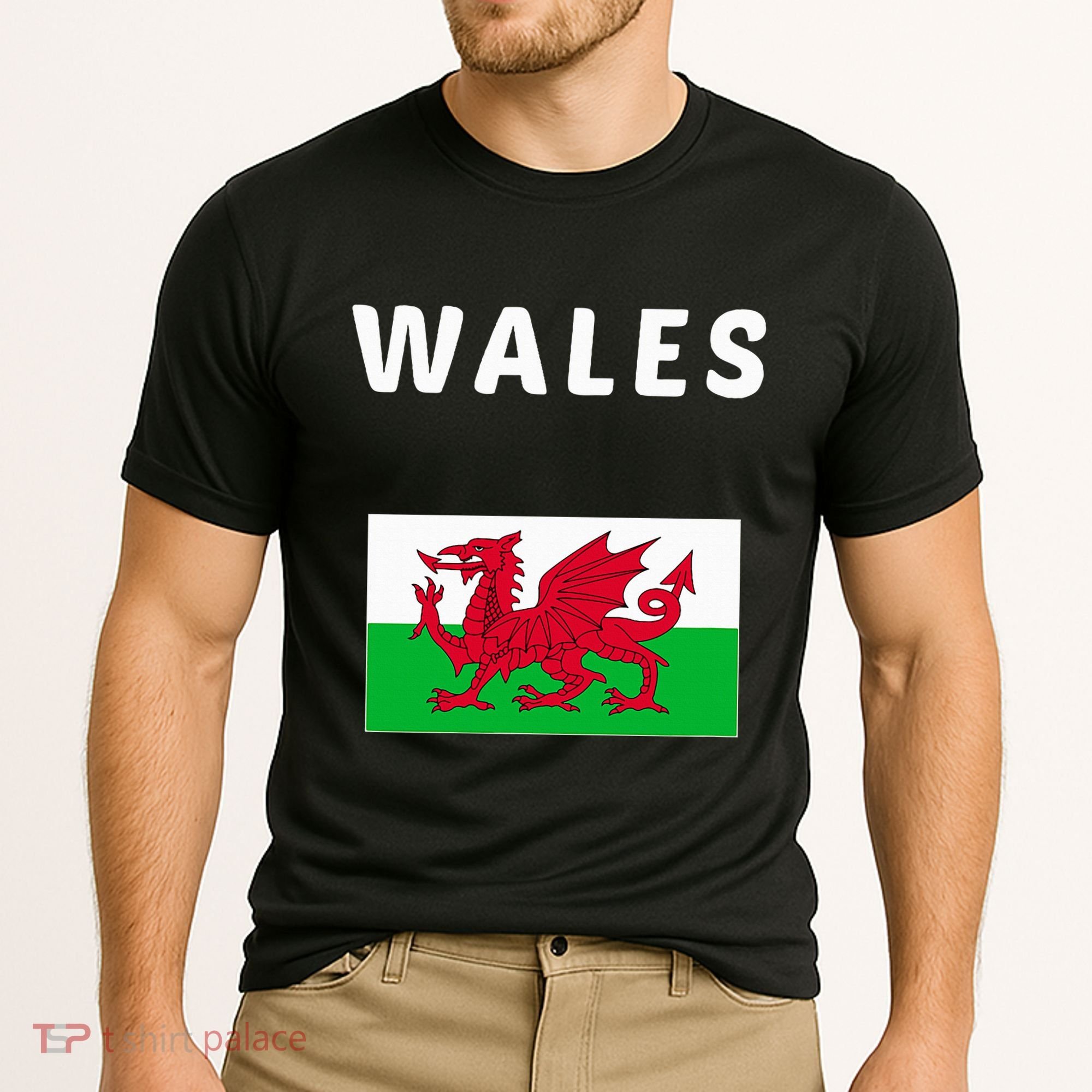 Wales Cymru Flag Souvenir Gift Cardiff Welsh Cooling Performance Crew T-Shirt