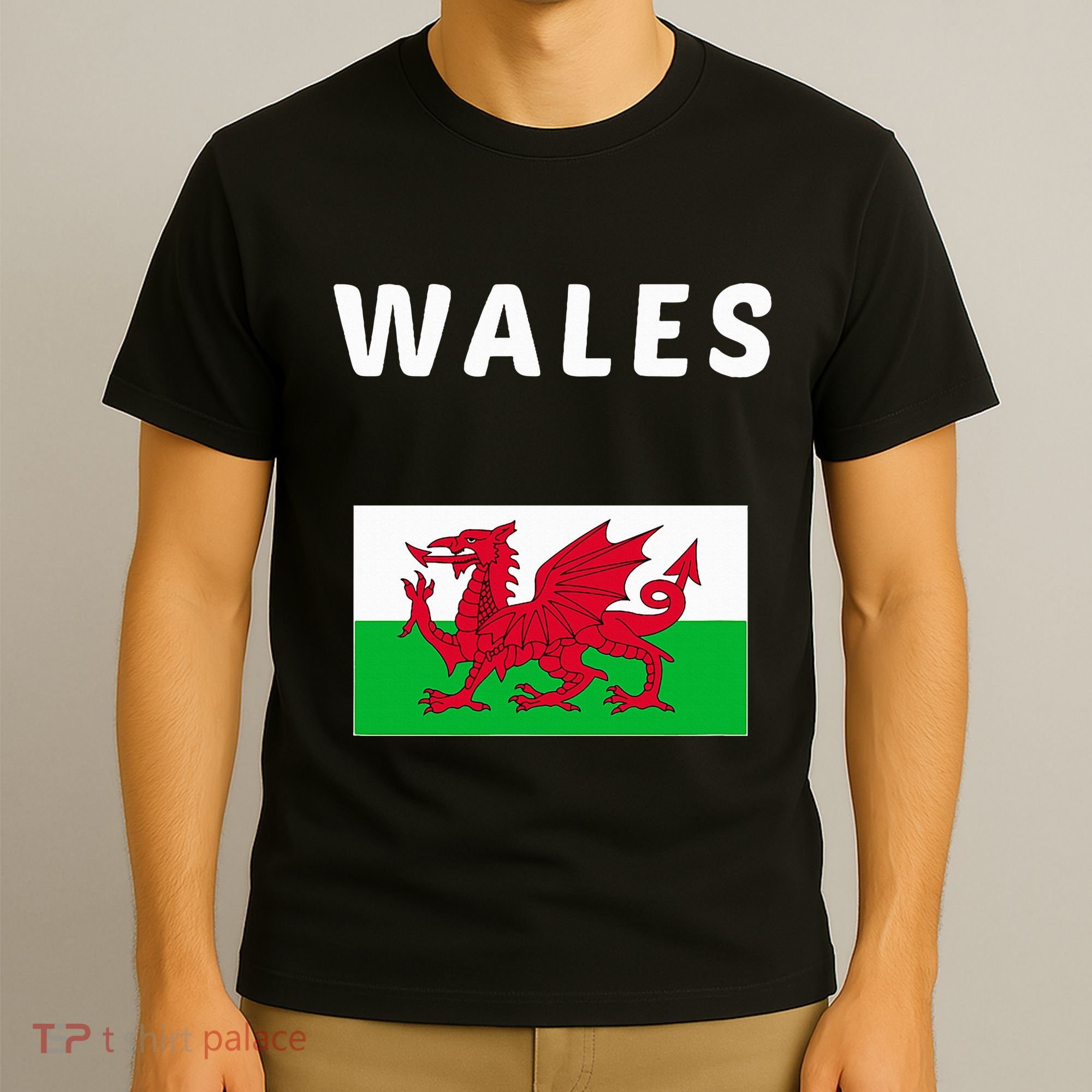Wales Cymru Flag Souvenir Gift Cardiff Welsh T-Shirt