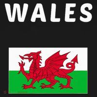 Wales Cymru Flag Souvenir Gift Cardiff Welsh T-Shirt thumb 7